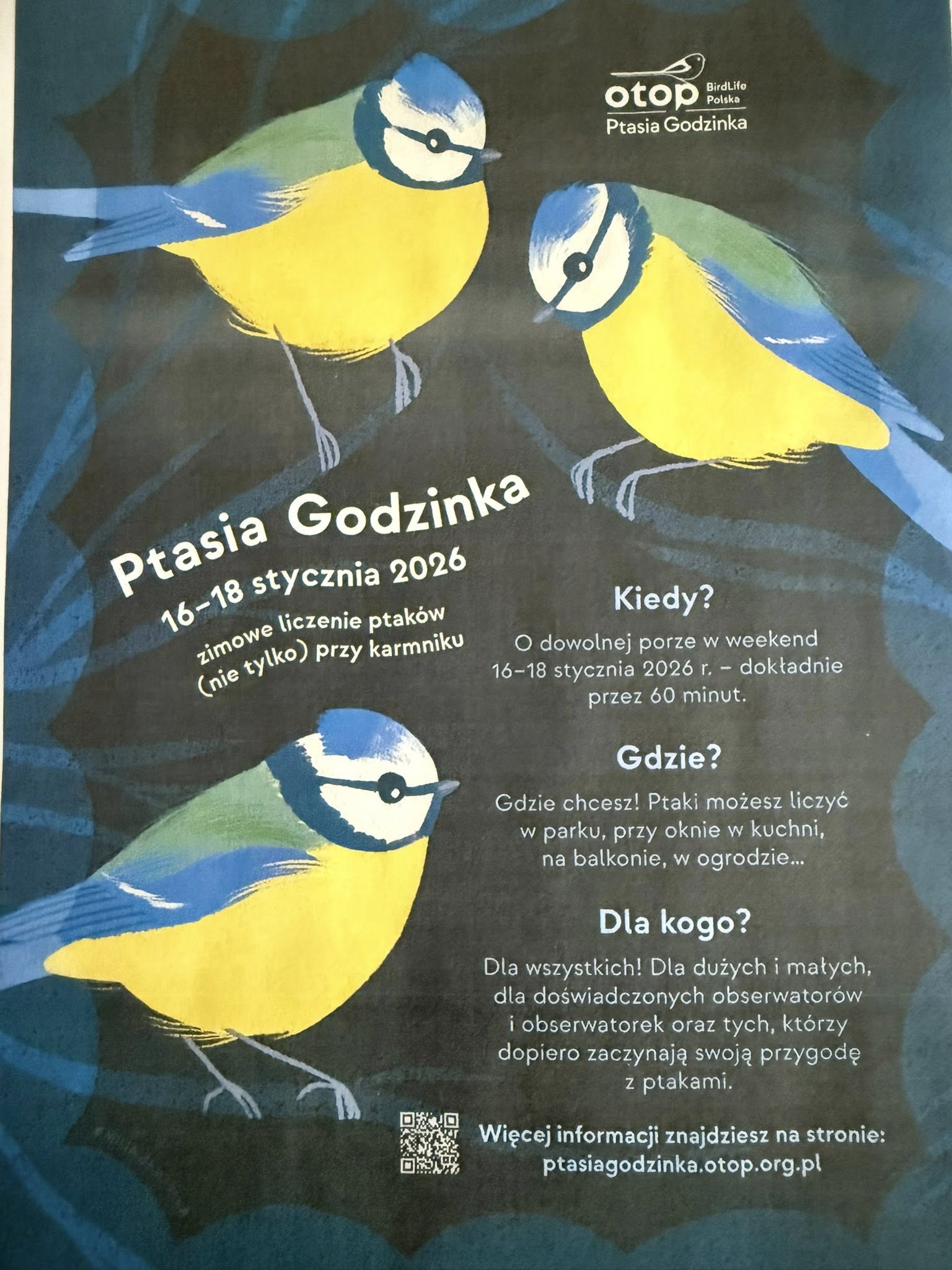 Więcej o: Zimowe Ptakoliczenie